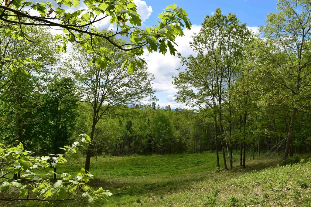 151 Moulton Hill Road Lyman NH 03585