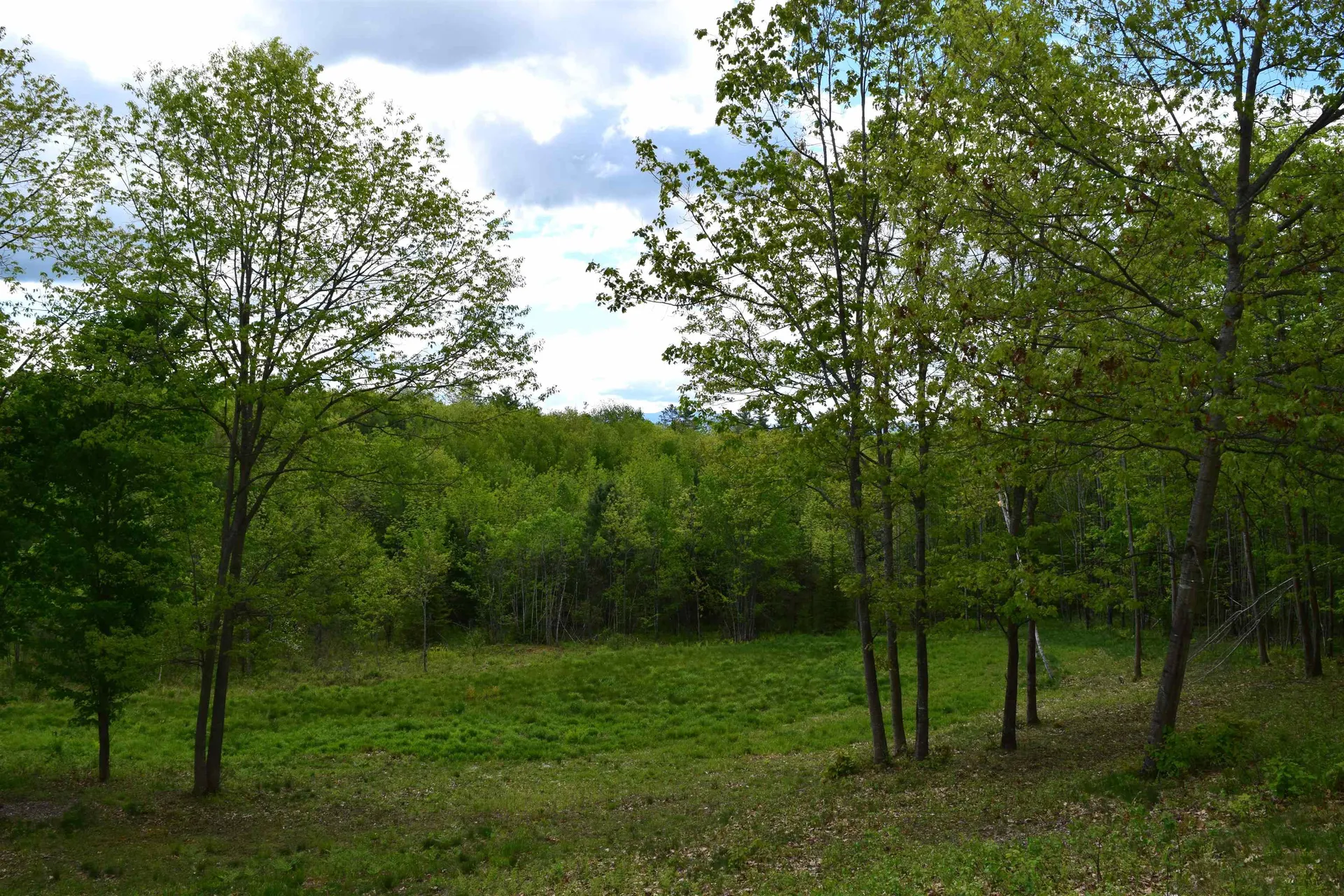 151 Moulton Hill Road Lyman NH 03585