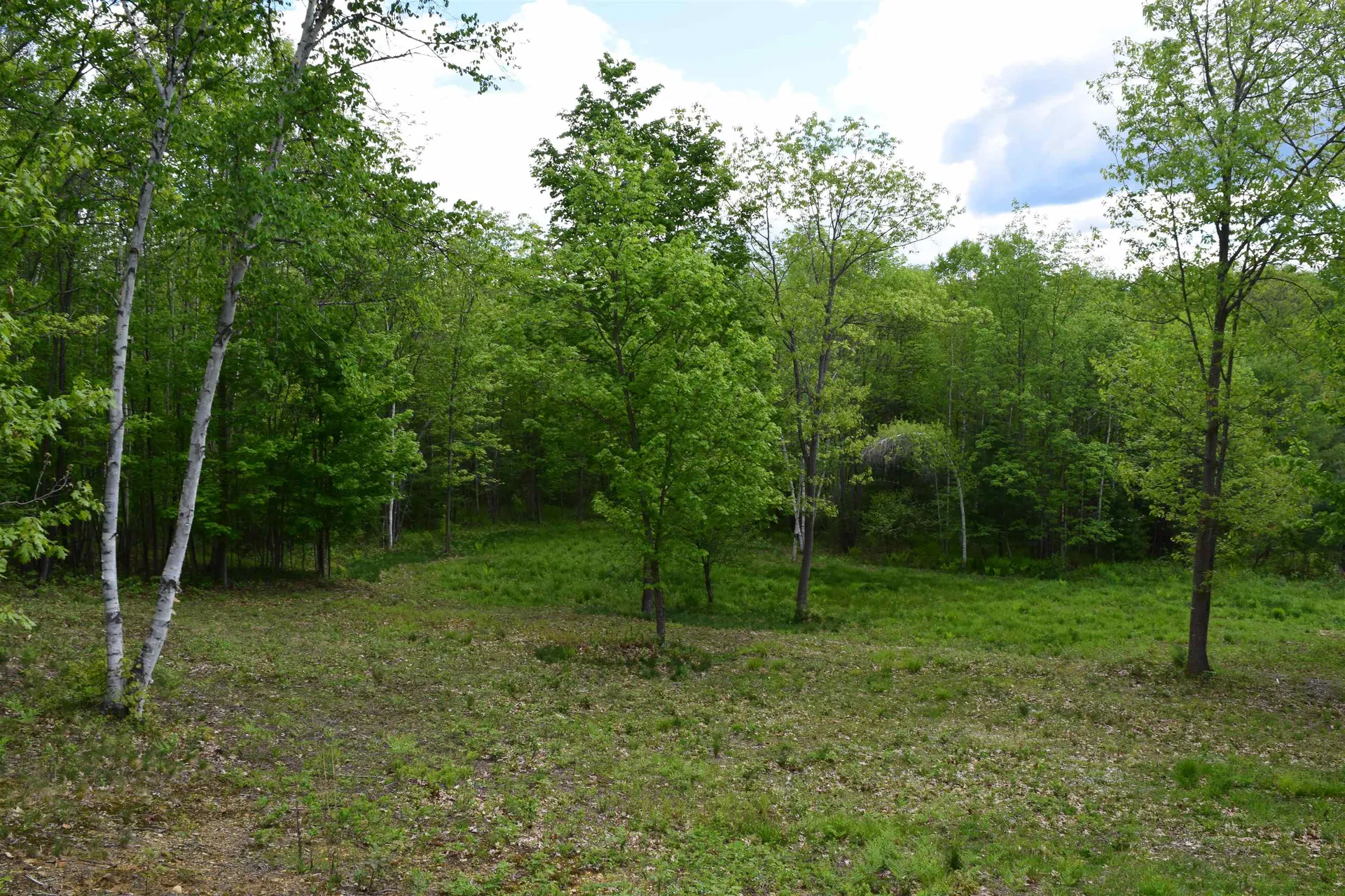 151 Moulton Hill Road Lyman NH 03585