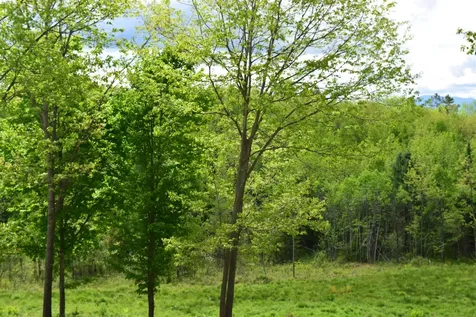 151 Moulton Hill Road Lyman NH 03585