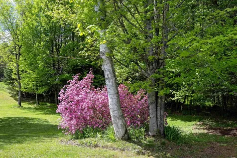 931 North Concord Road Concord VT 05858