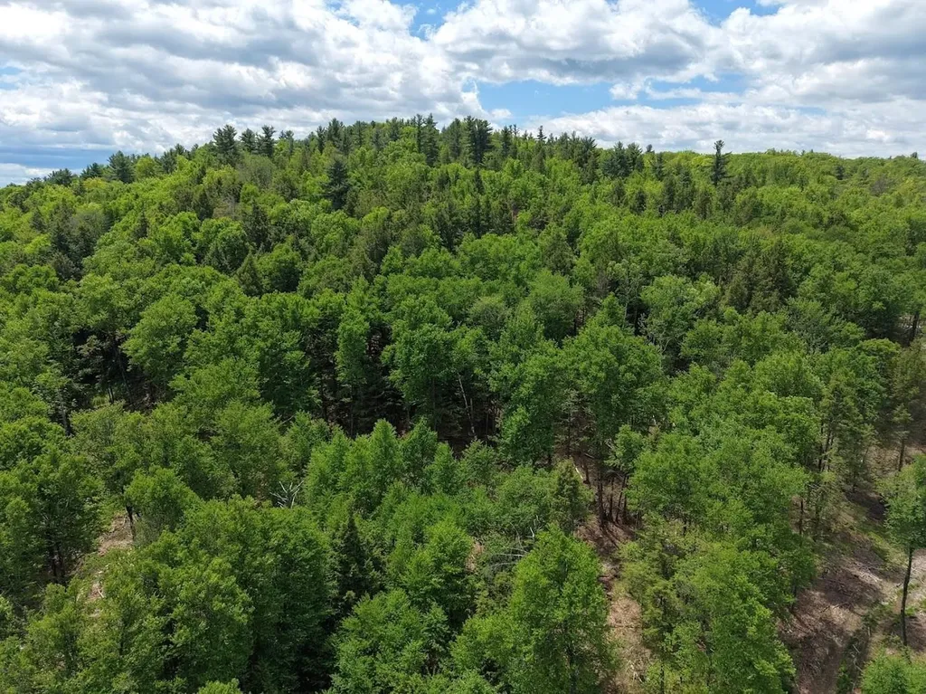 Hurricane Road Westmoreland NH 03467