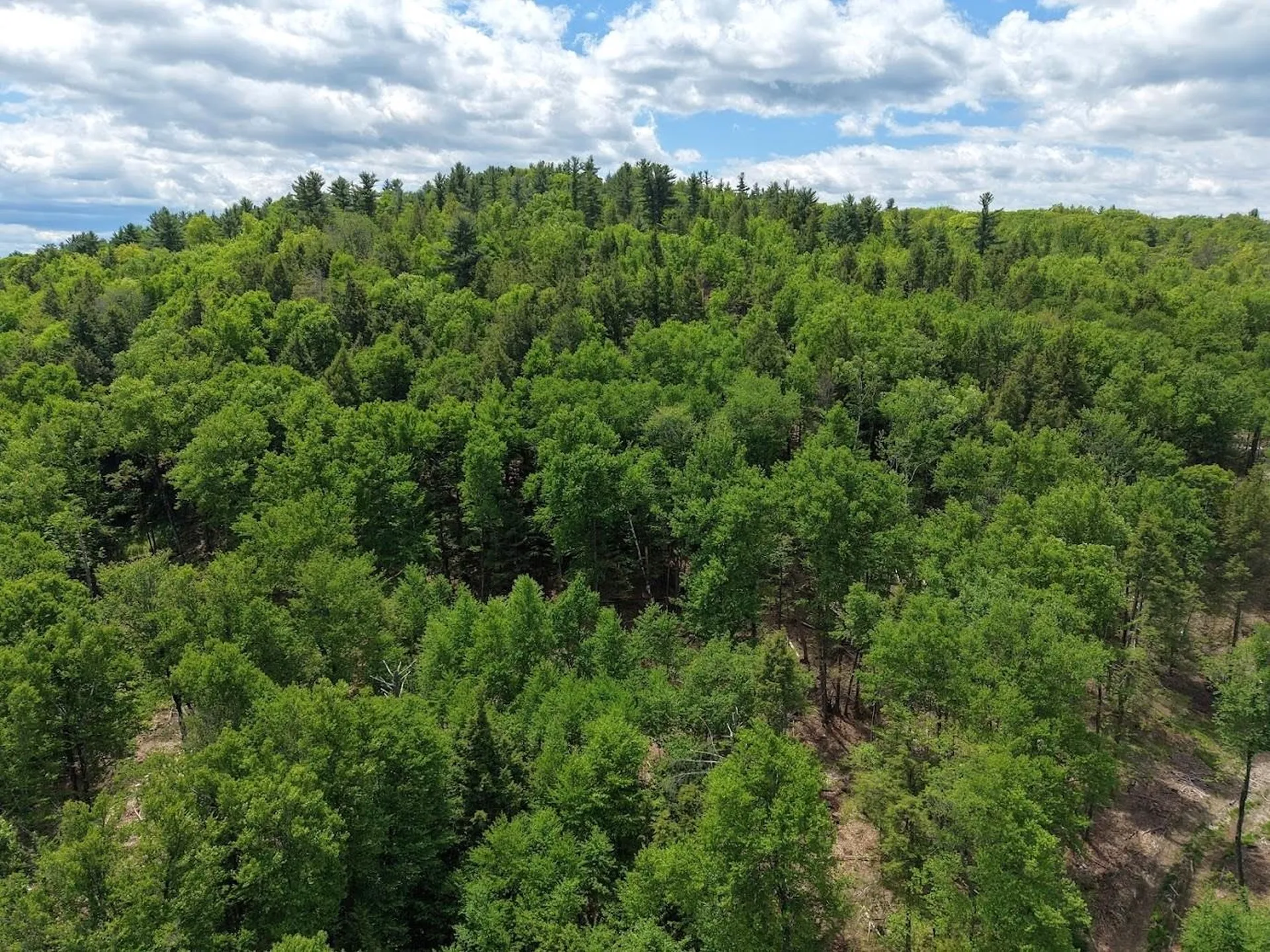 Hurricane Road Westmoreland NH 03467