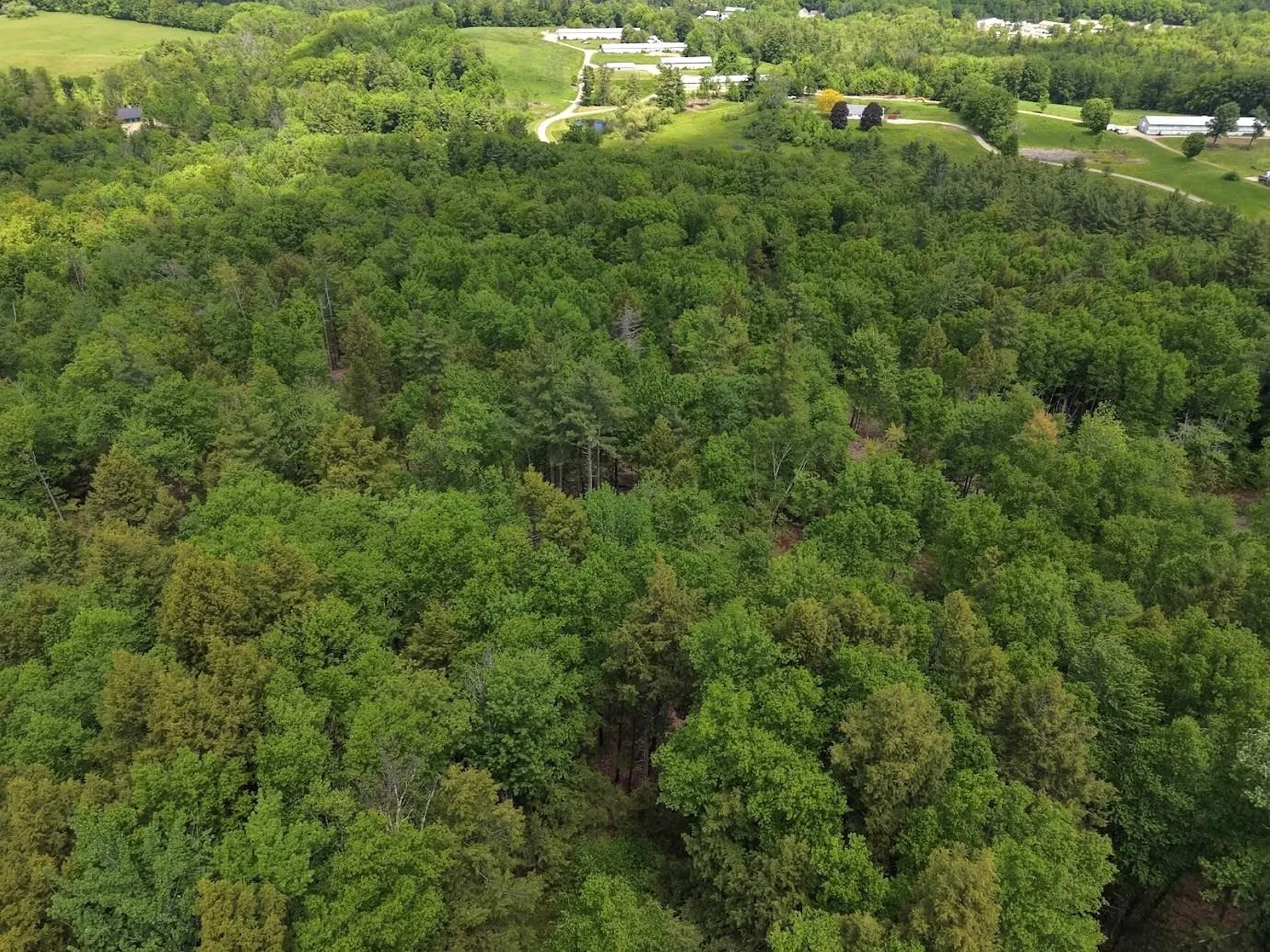 Hurricane Road Westmoreland NH 03467