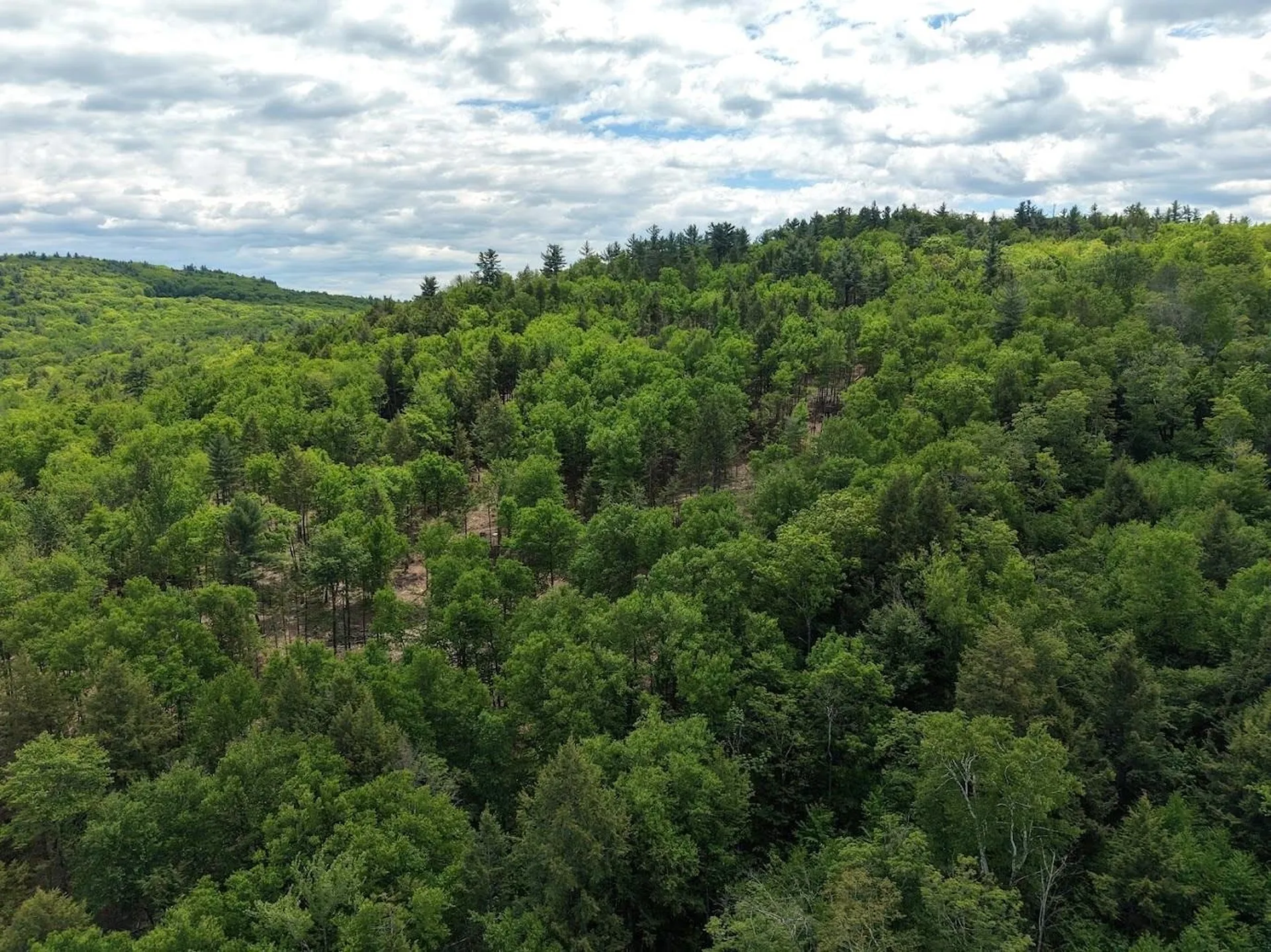 Hurricane Road Westmoreland NH 03467