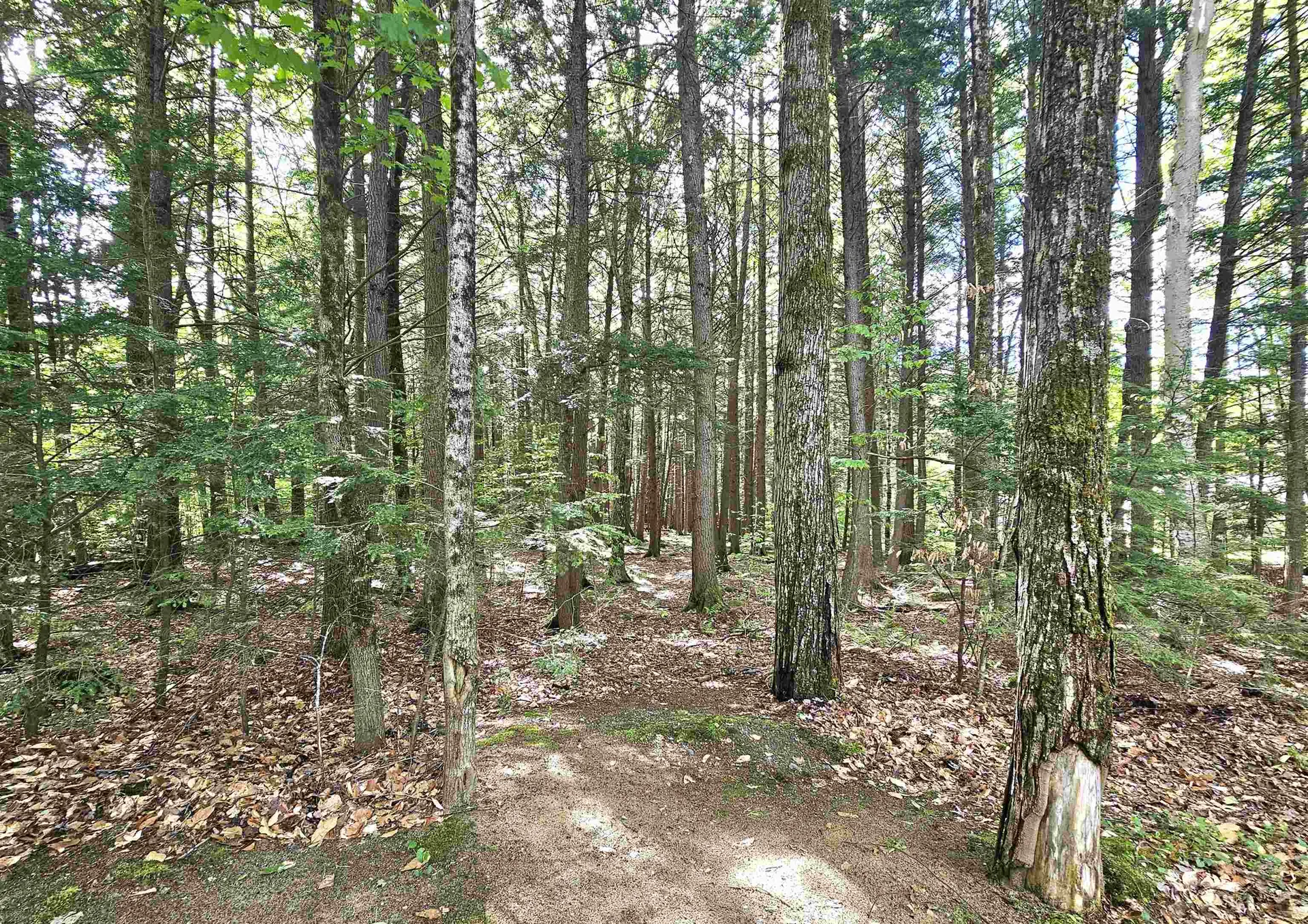 27 Boyle Street Lincoln NH 03251