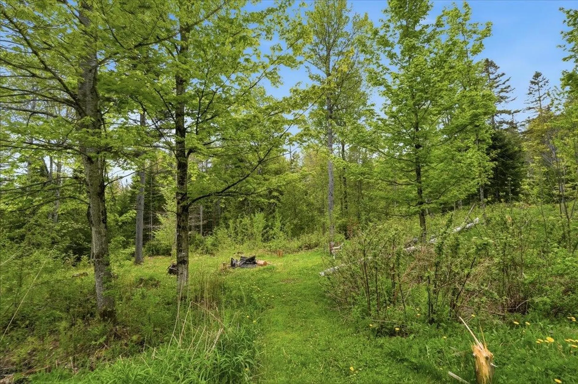 3637 Noyestar Road Walden VT 05836