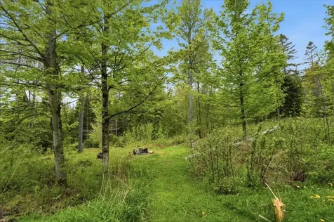 3637 Noyestar Road Walden VT 05836