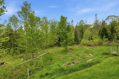 3637 Noyestar Road Walden VT 05836