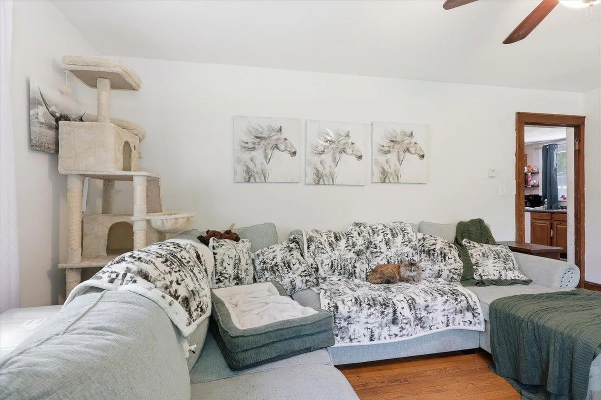 3 Sawyer Street Nashua NH 03060
