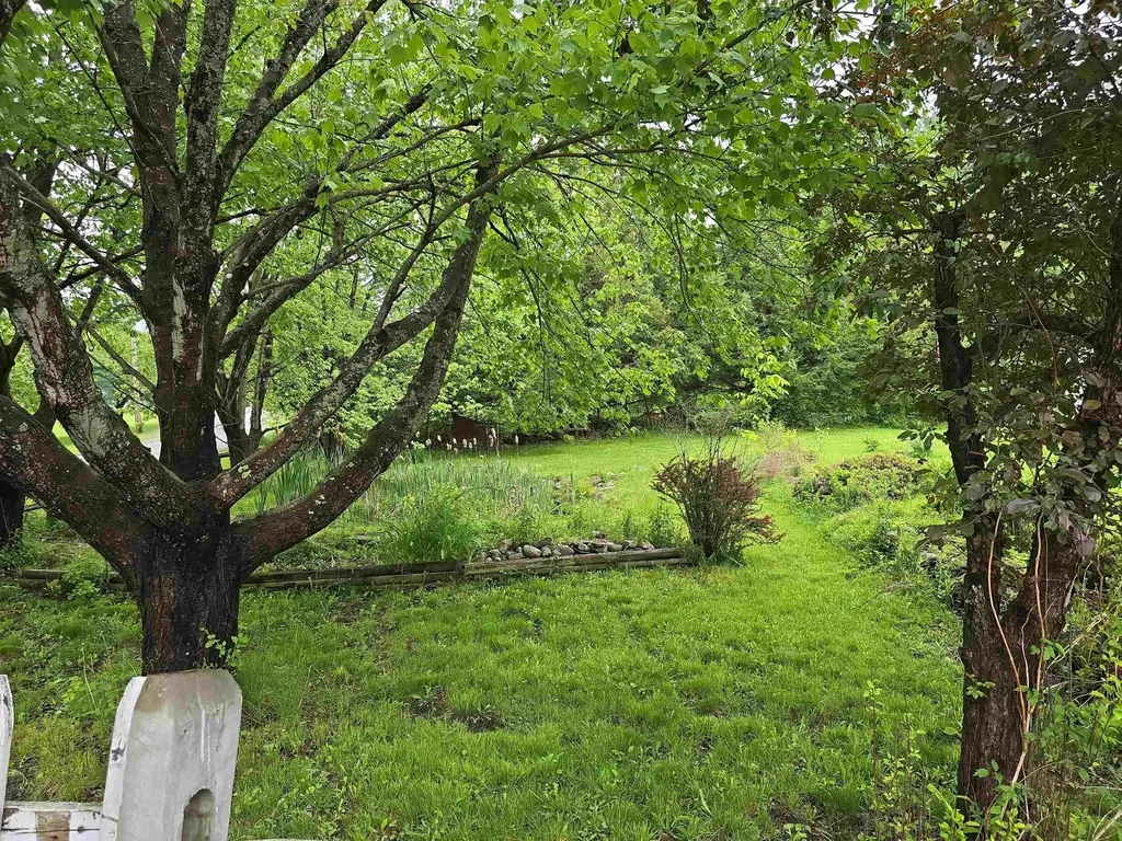 35 Reed Farm Road Newport NH 03773