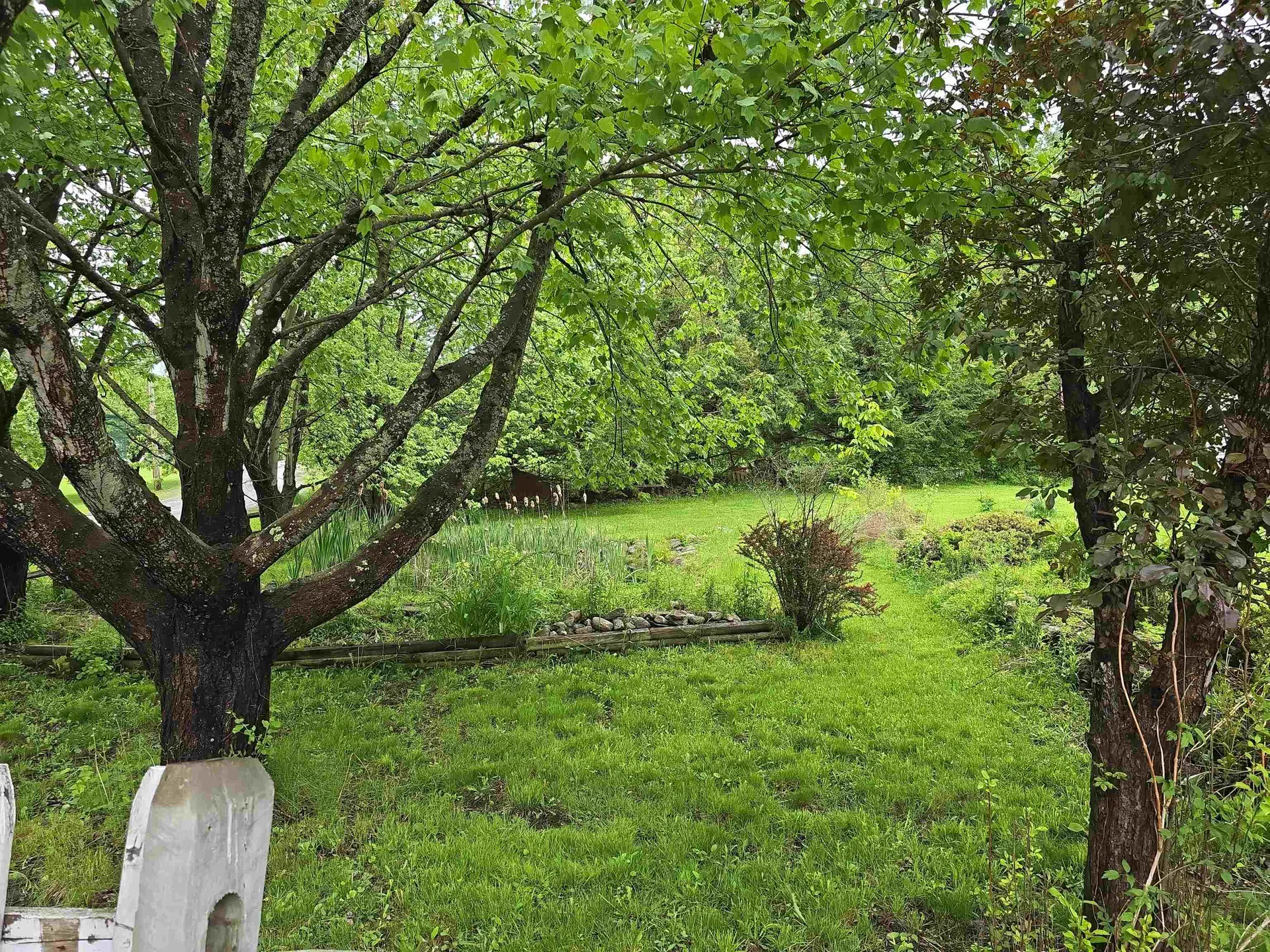 35 Reed Farm Road Newport NH 03773