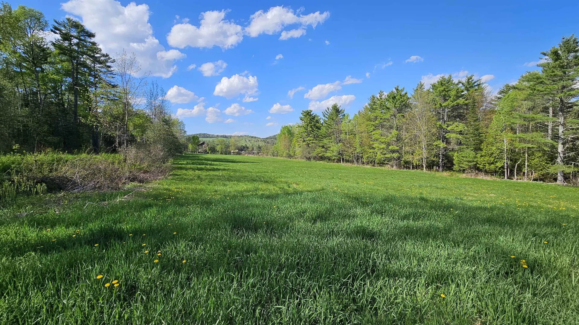 1610 North Road Newbury VT 05051
