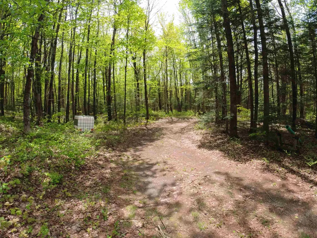 763 Hunting Camp Road Holland VT 05830