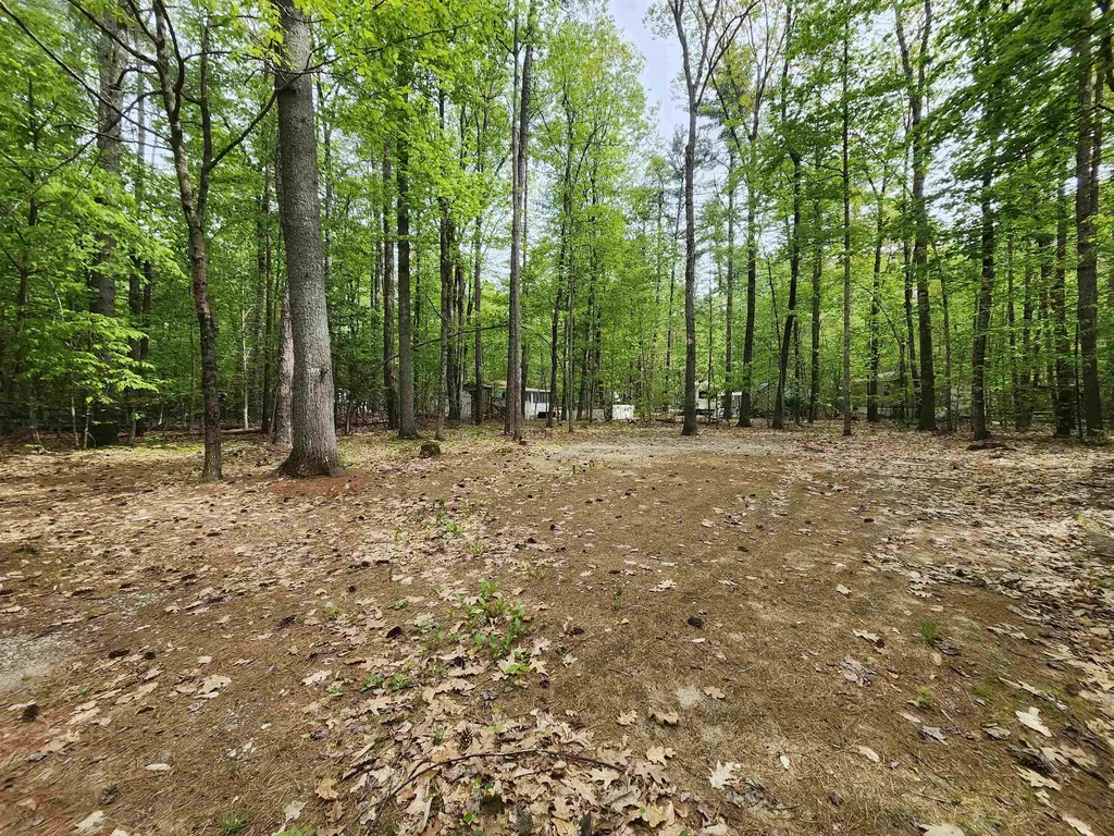 Lot 7 Pine Road Wakefield NH 03830