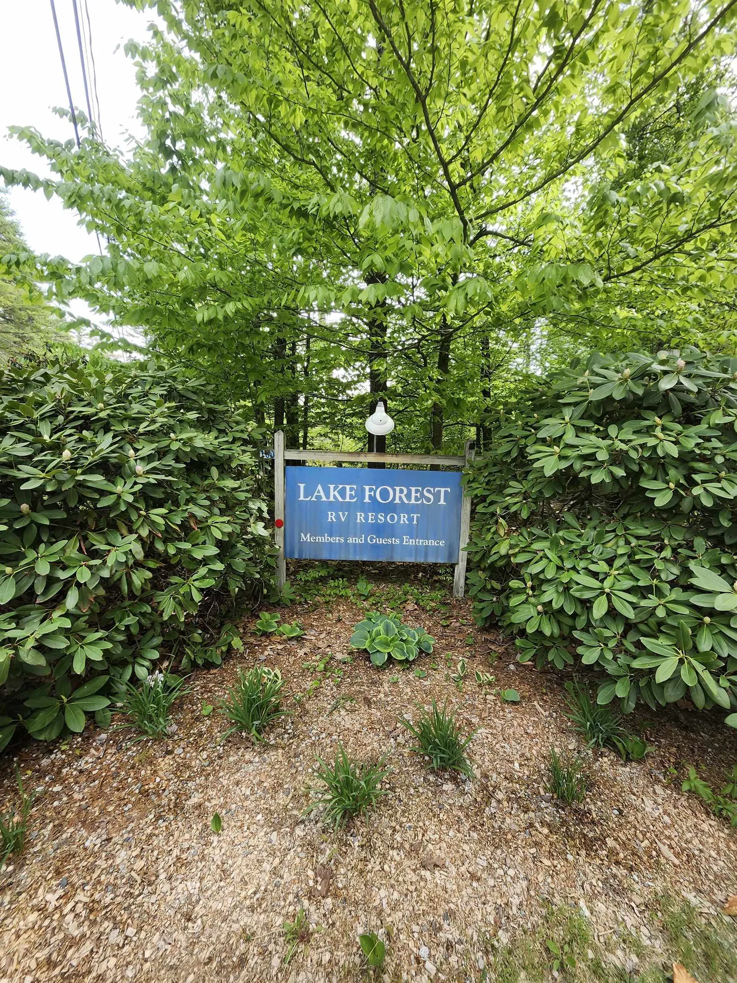 Lot 7 Pine Road Wakefield NH 03830