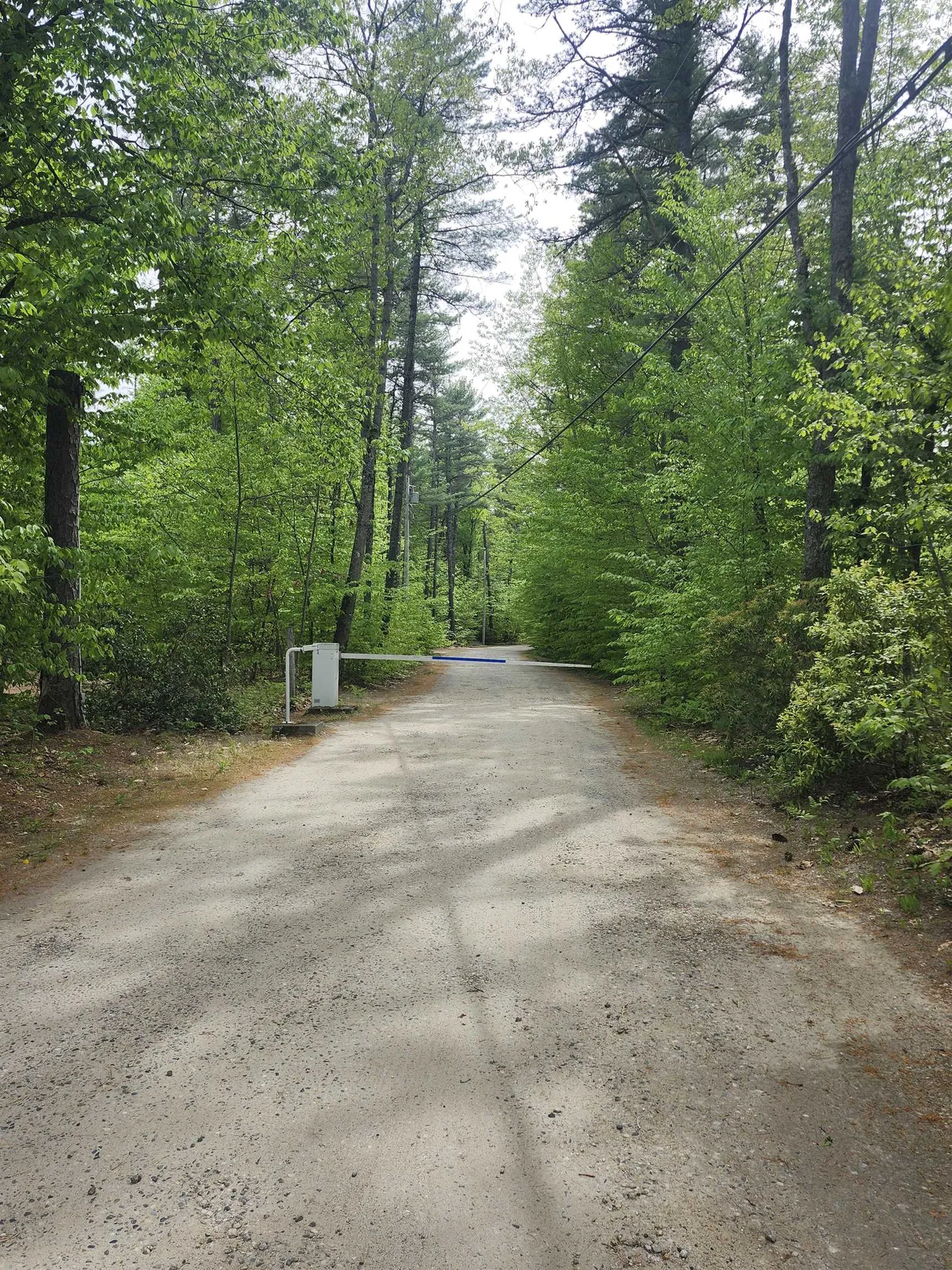 Lot 7 Pine Road Wakefield NH 03830