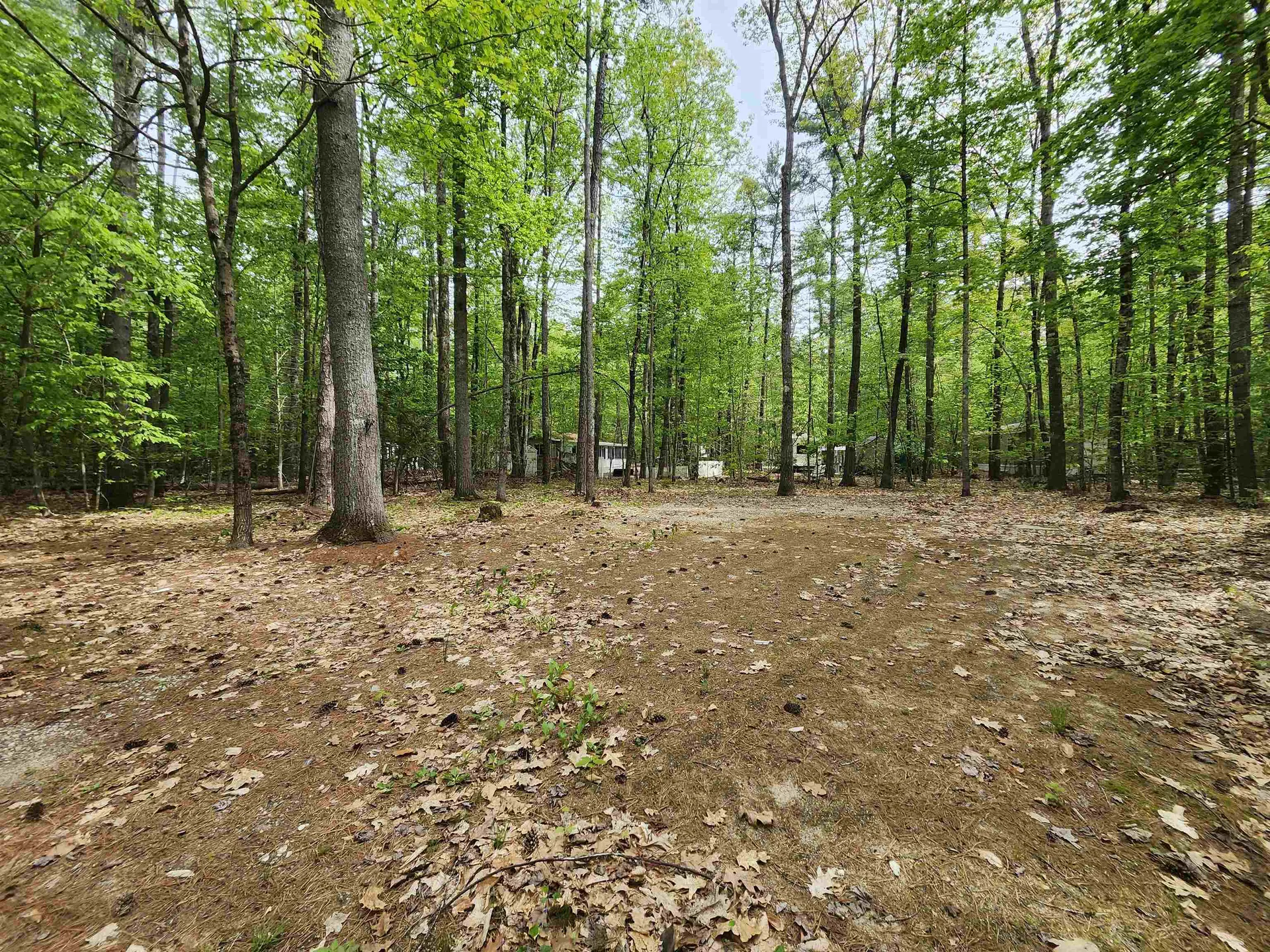 Lot 7 Pine Road Wakefield NH 03830