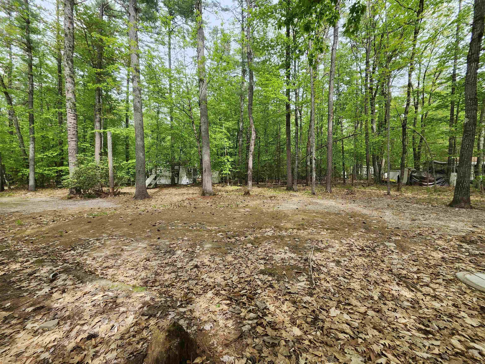 Lot 7 Pine Road Wakefield NH 03830