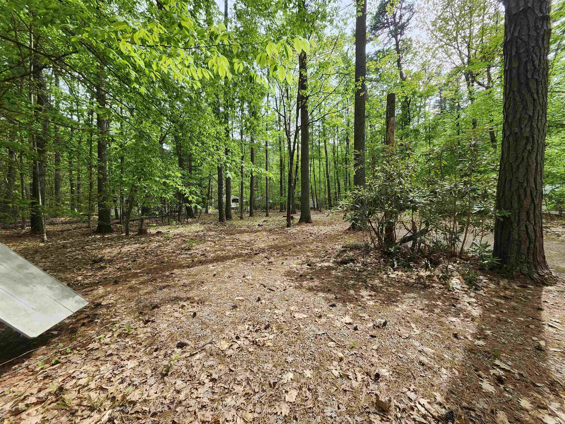 Lot 7 Pine Road Wakefield NH 03830