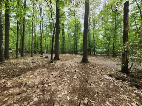 Lot 7 Pine Road Wakefield NH 03830
