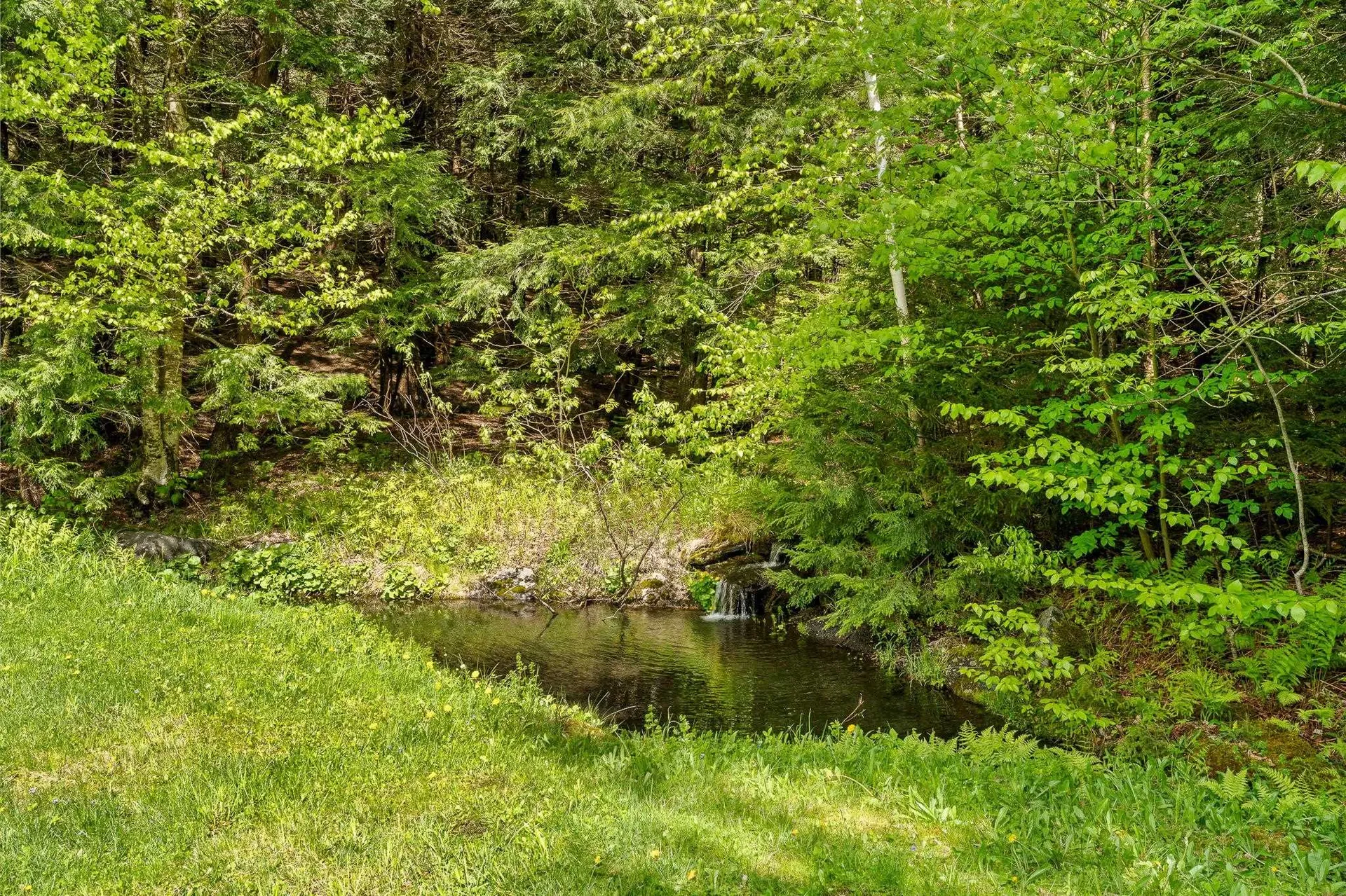 1442 North Road Barnard VT 05031