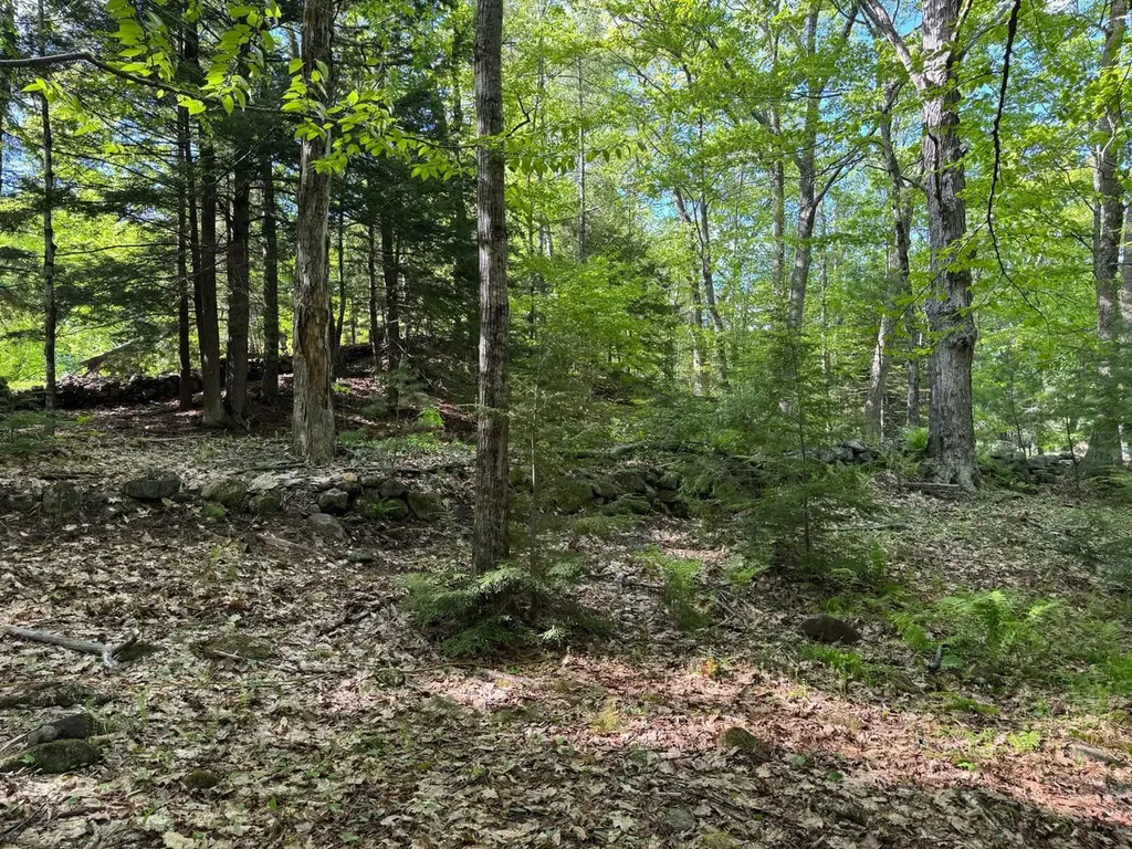 0 Peaked Hill Road Bristol NH 03222