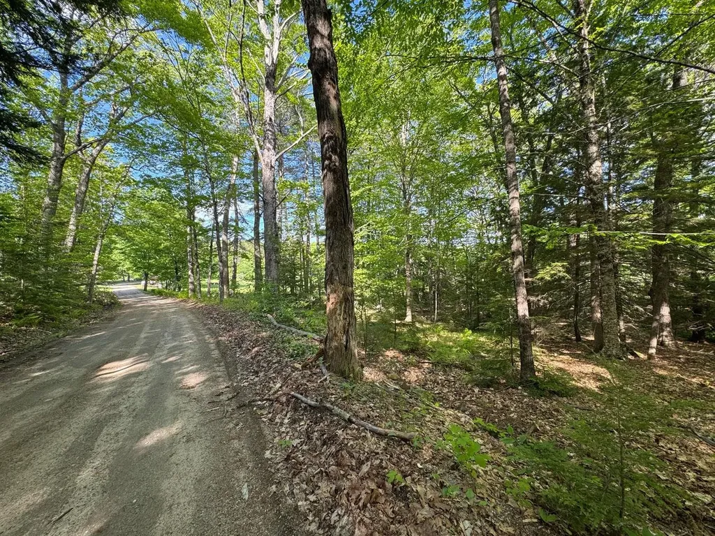 0 Peaked Hill Road Bristol NH 03222