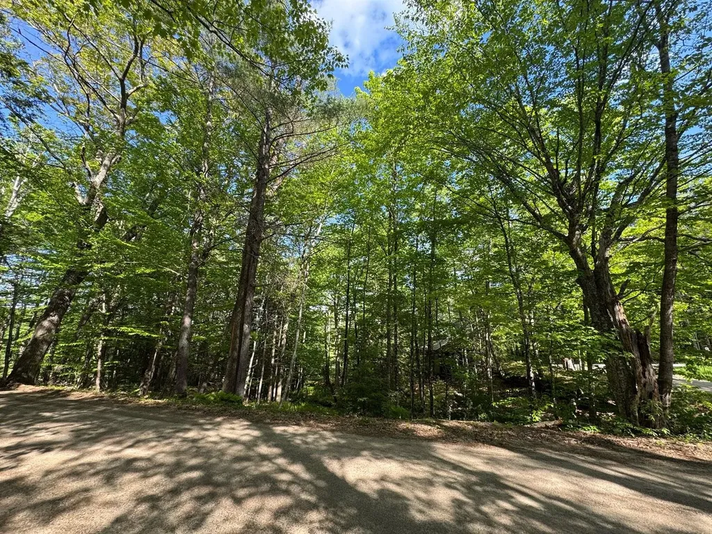 0 Peaked Hill Road Bristol NH 03222