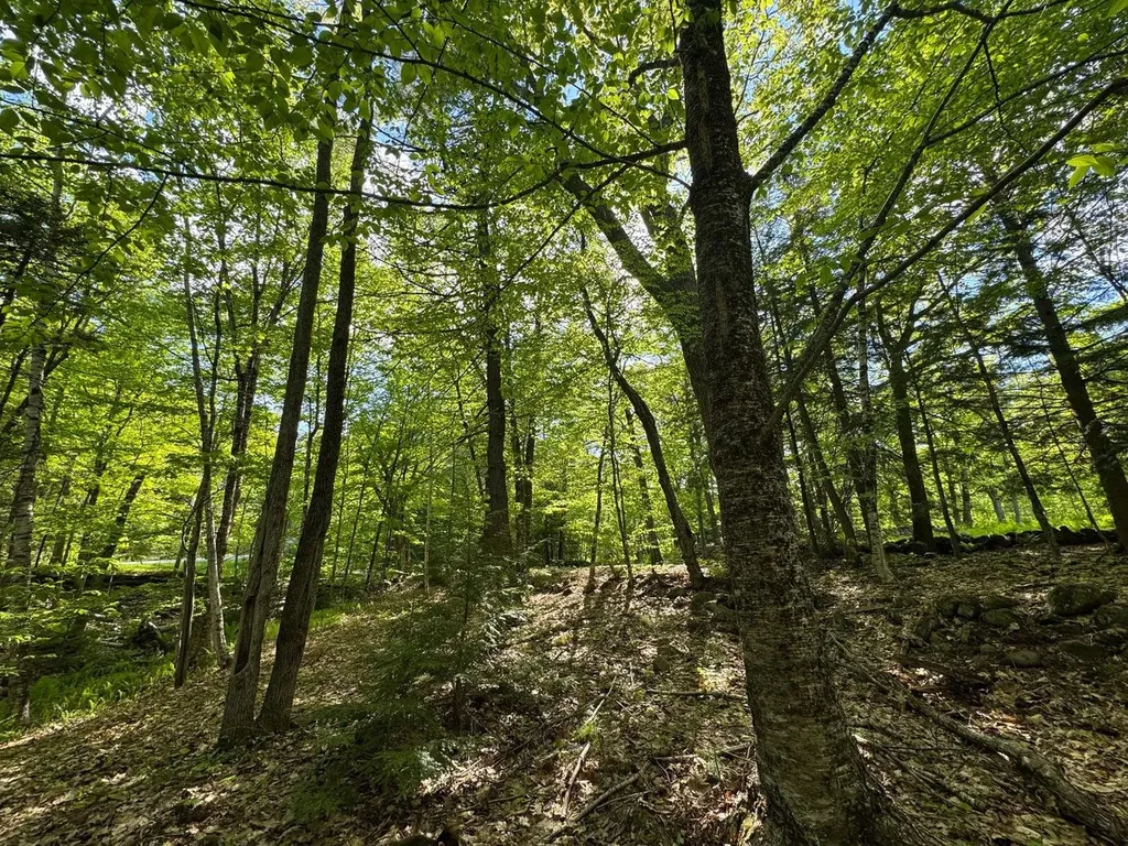 0 Peaked Hill Road Bristol NH 03222