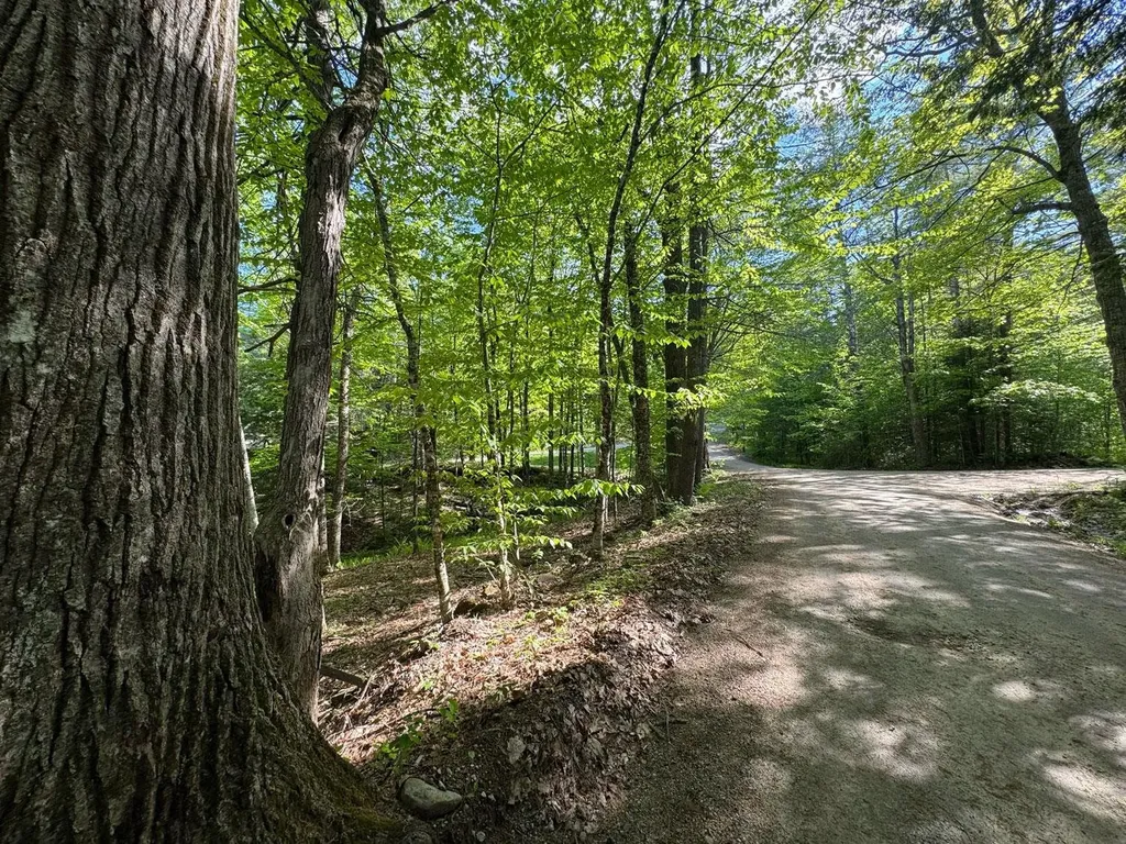 0 Peaked Hill Road Bristol NH 03222