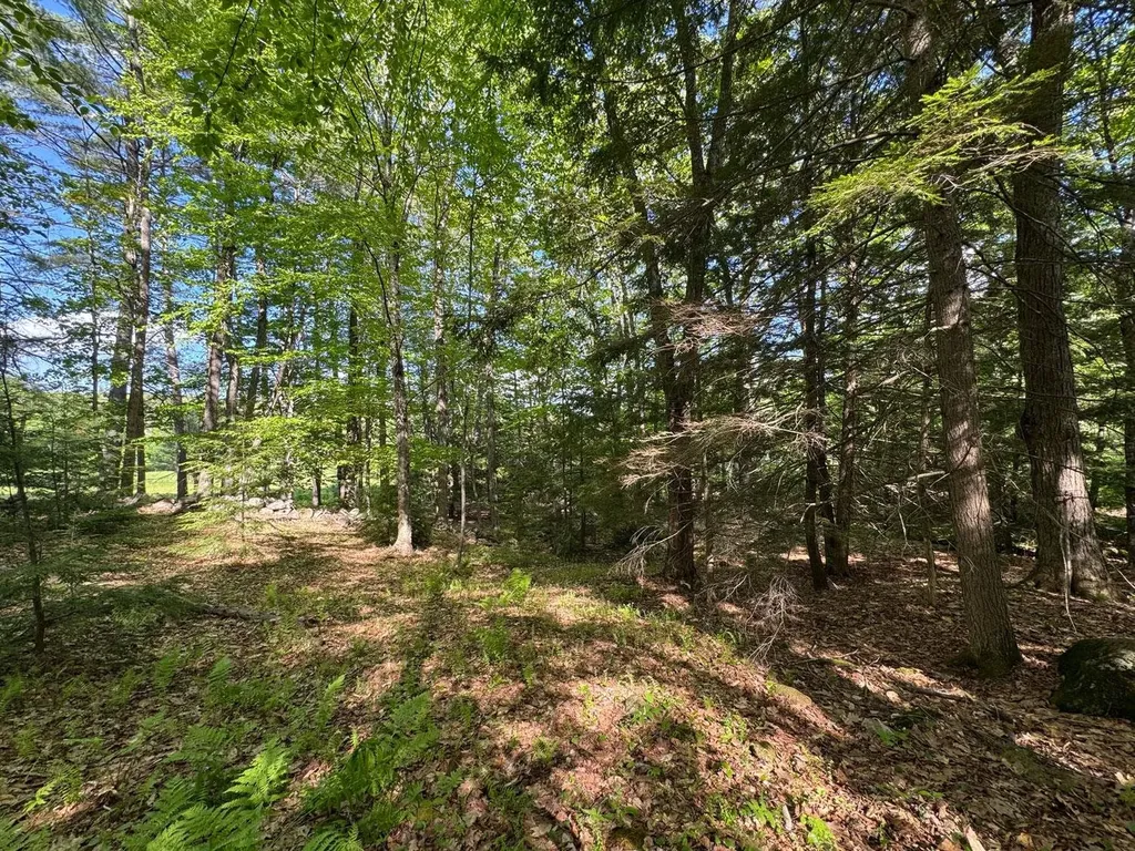 0 Peaked Hill Road Bristol NH 03222