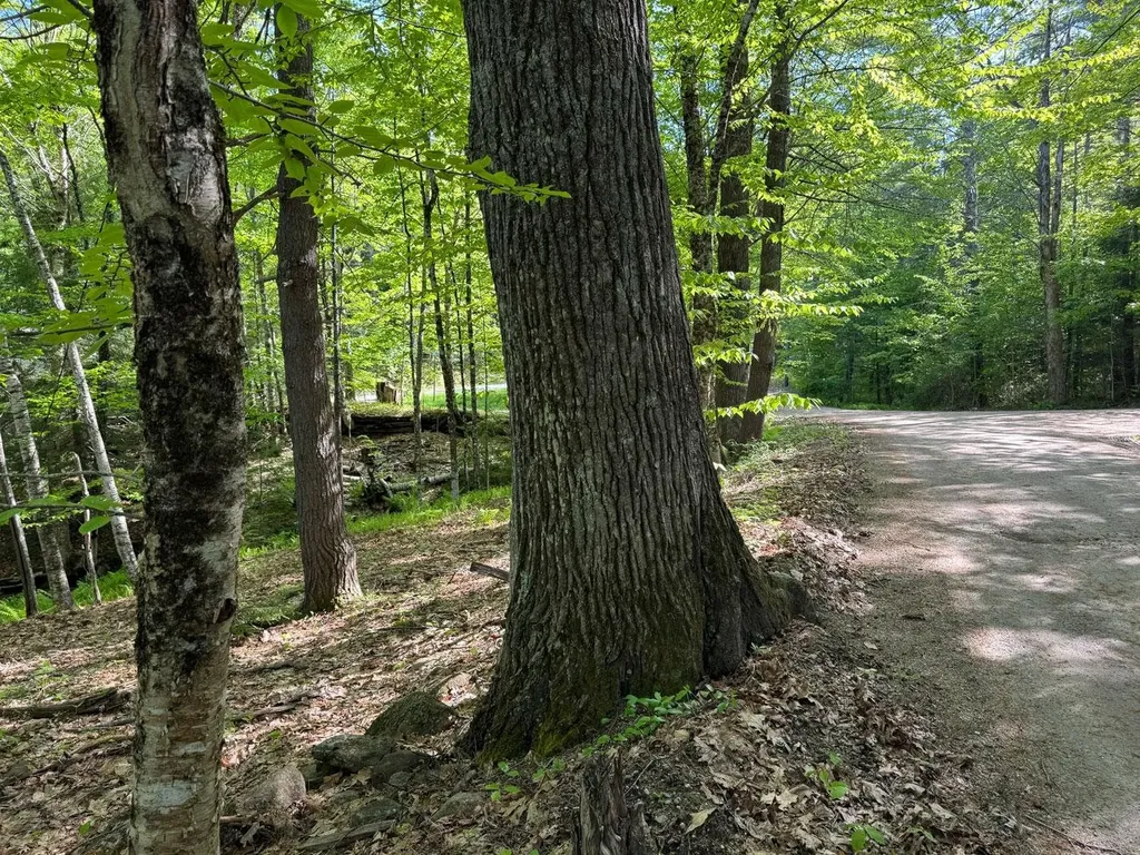 0 Peaked Hill Road Bristol NH 03222