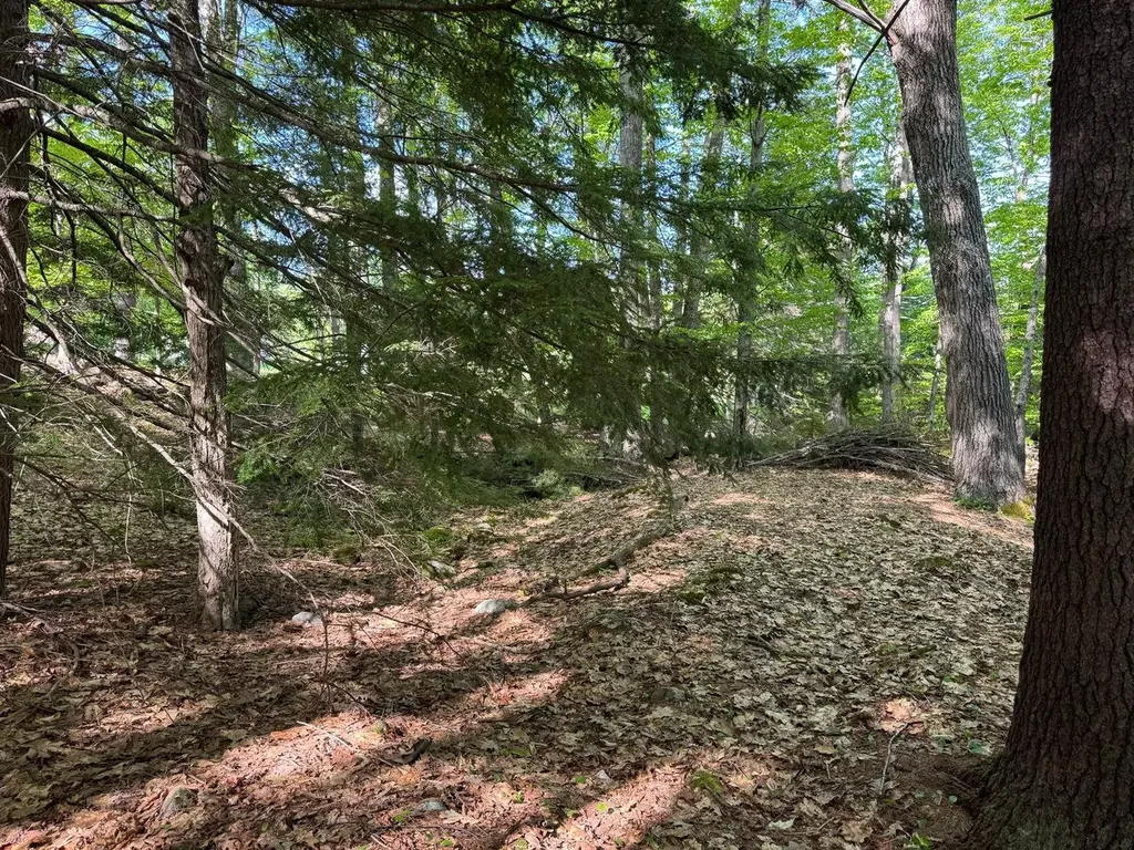 0 Peaked Hill Road Bristol NH 03222