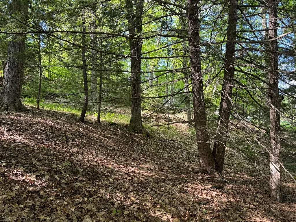 0 Peaked Hill Road Bristol NH 03222