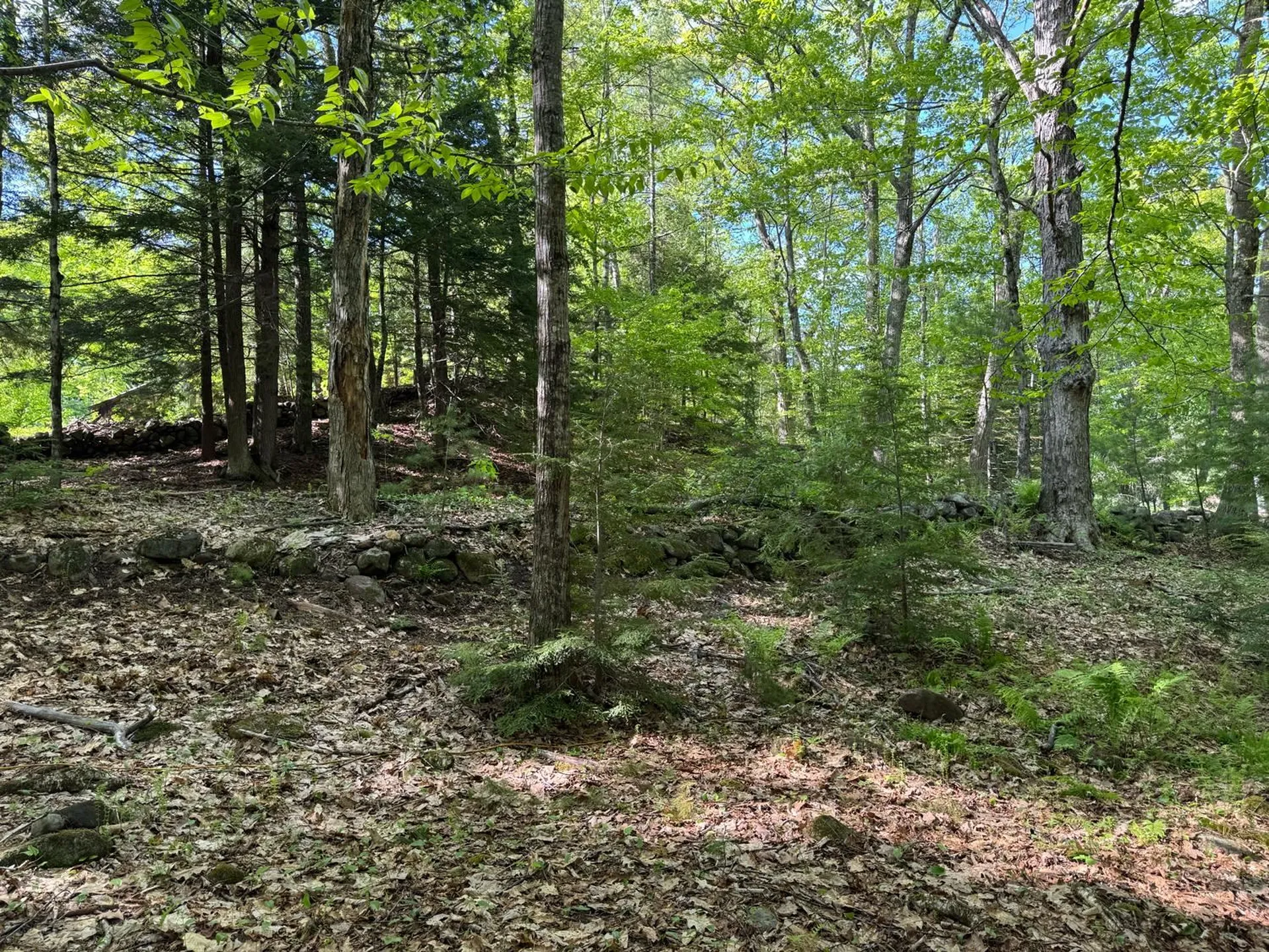 0 Peaked Hill Road Bristol NH 03222
