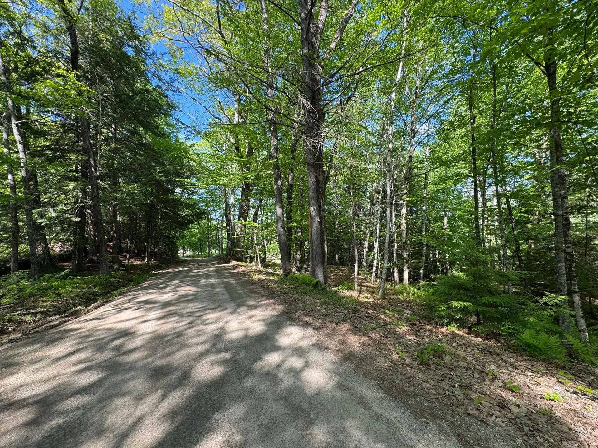 0 Peaked Hill Road Bristol NH 03222