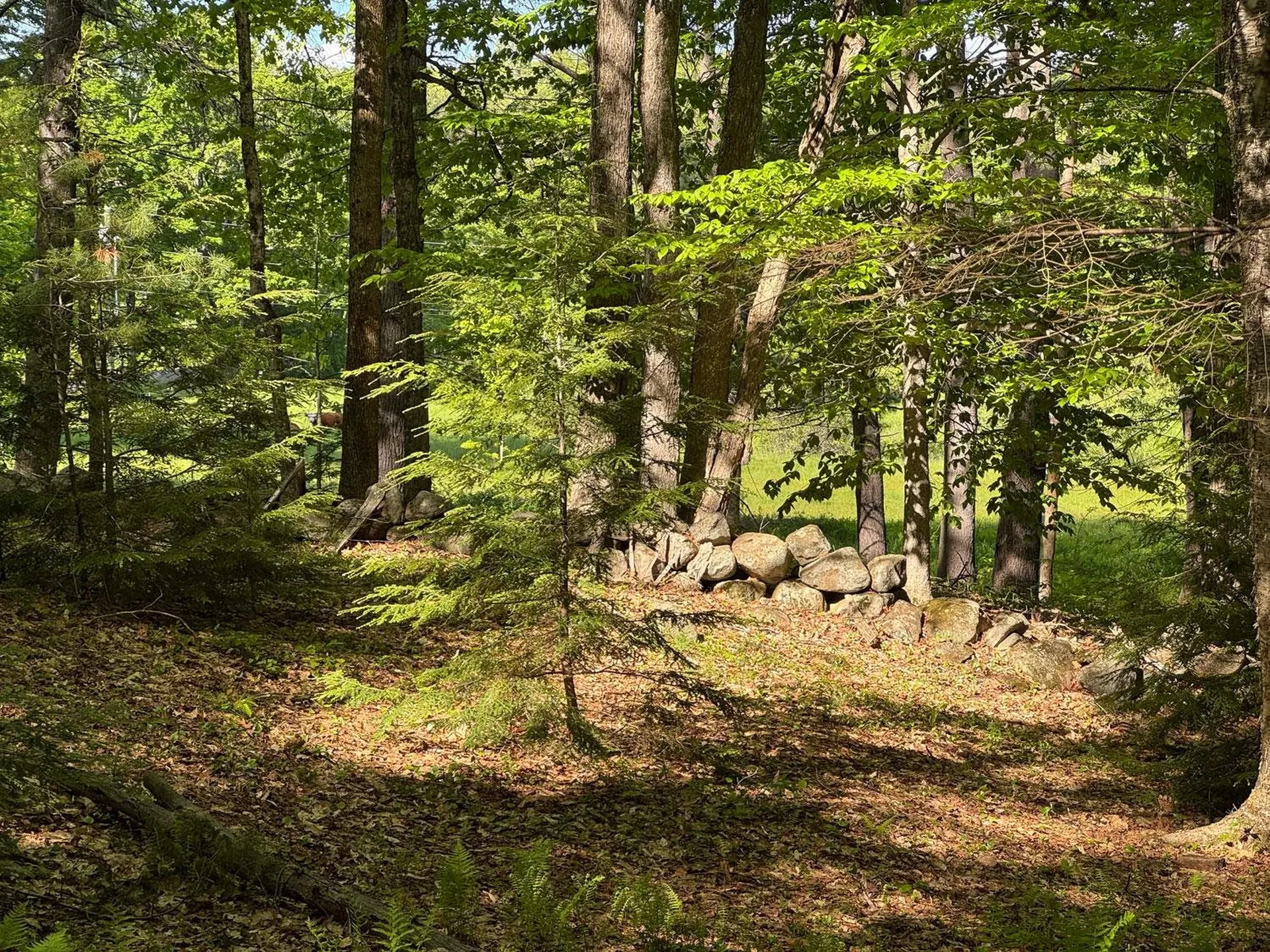 0 Peaked Hill Road Bristol NH 03222