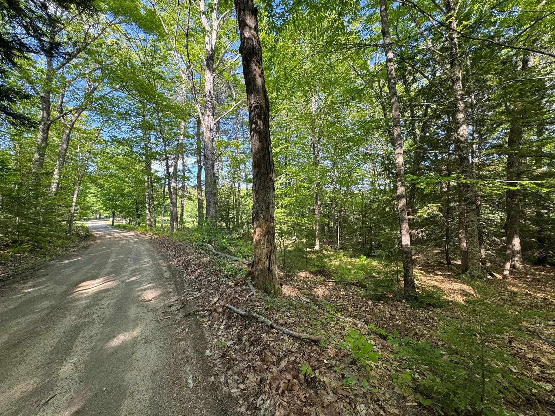 0 Peaked Hill Road Bristol NH 03222