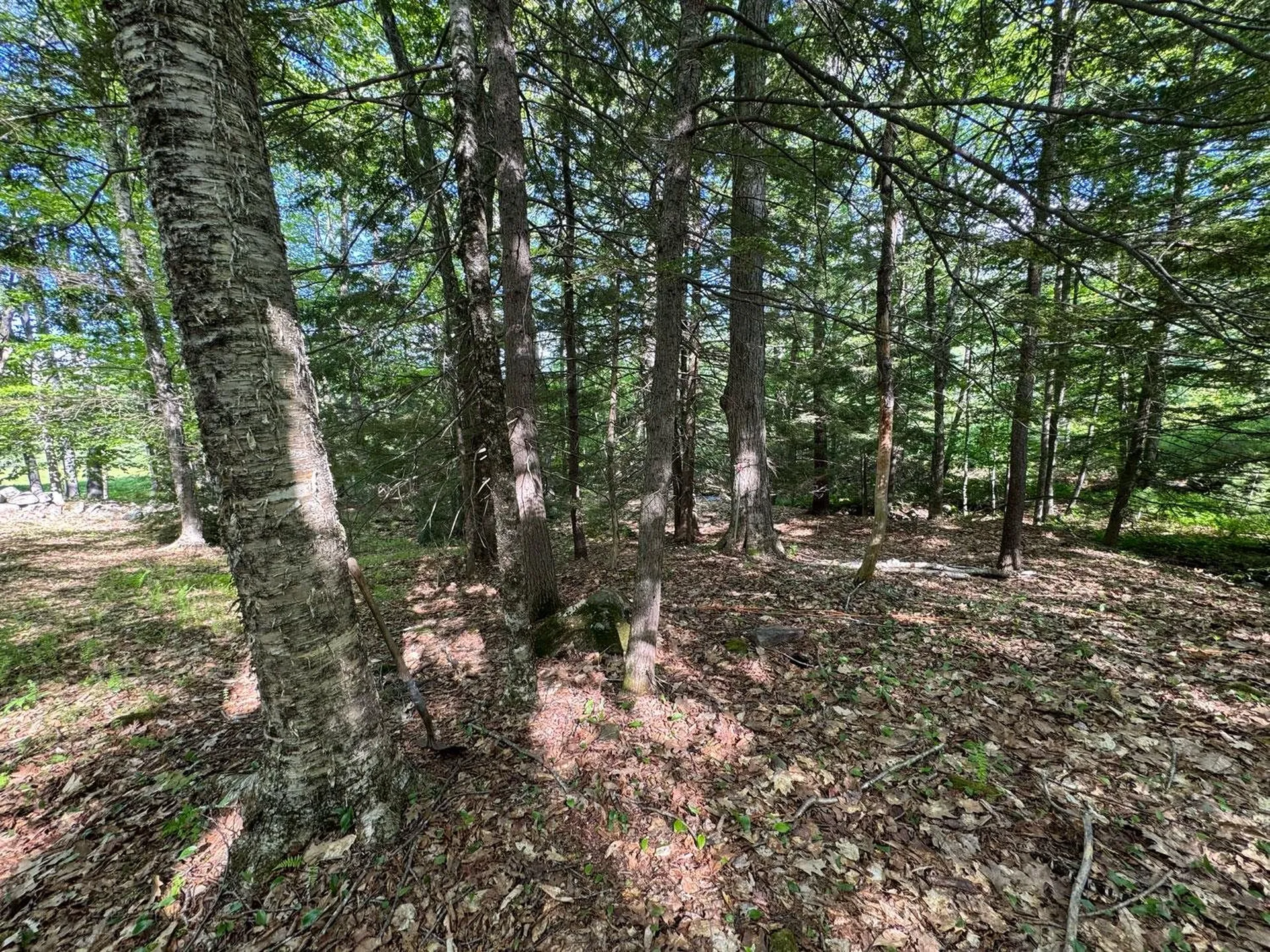 0 Peaked Hill Road Bristol NH 03222