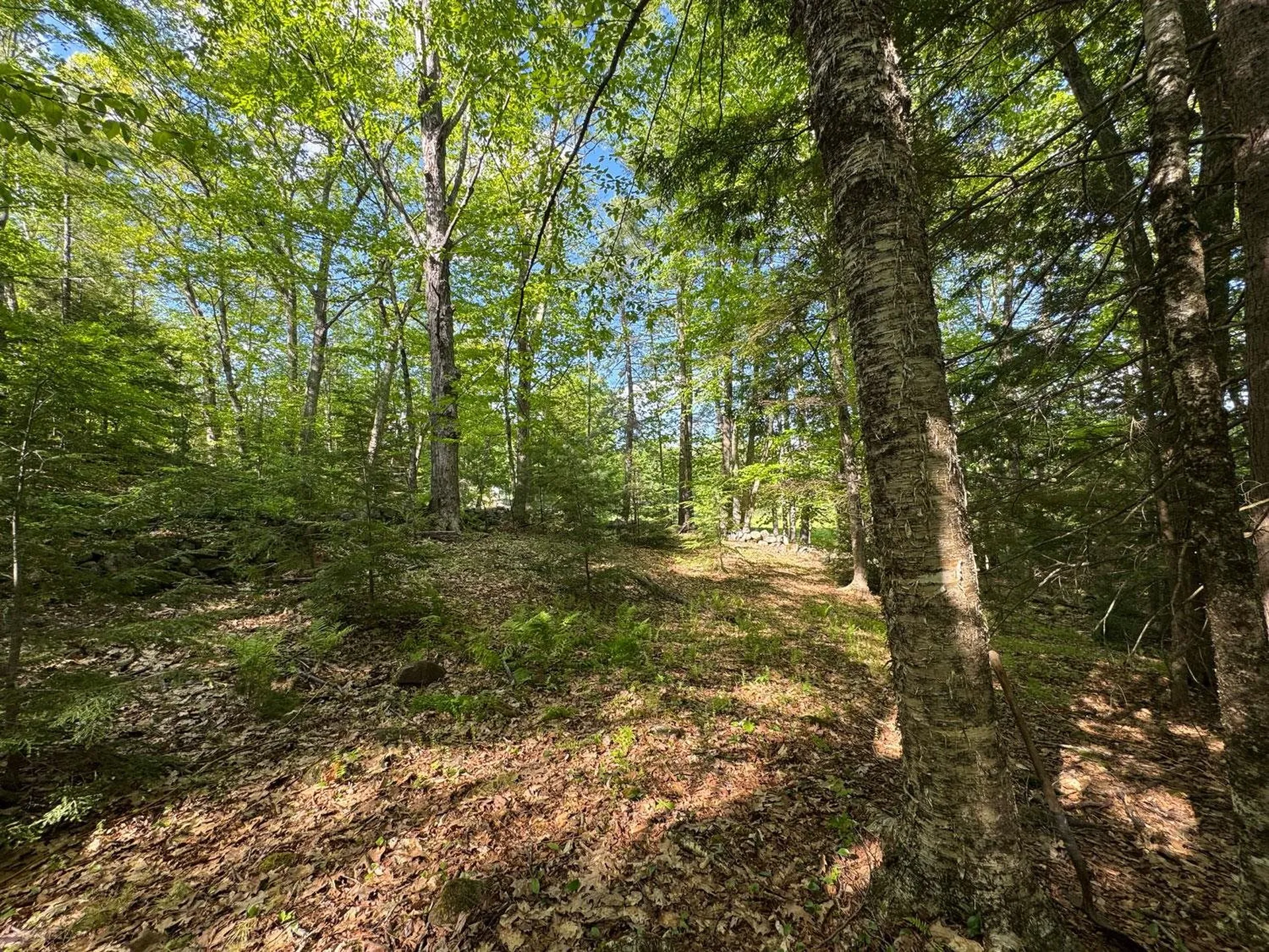 0 Peaked Hill Road Bristol NH 03222
