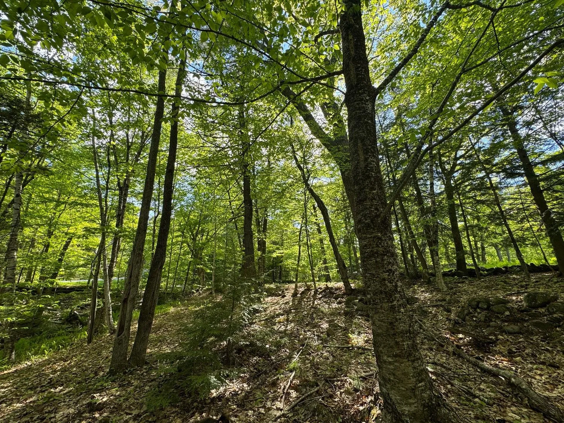 0 Peaked Hill Road Bristol NH 03222