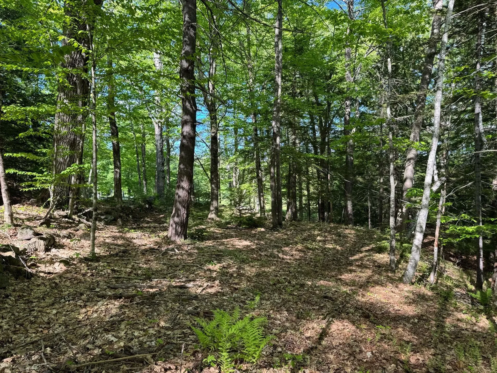 0 Peaked Hill Road Bristol NH 03222