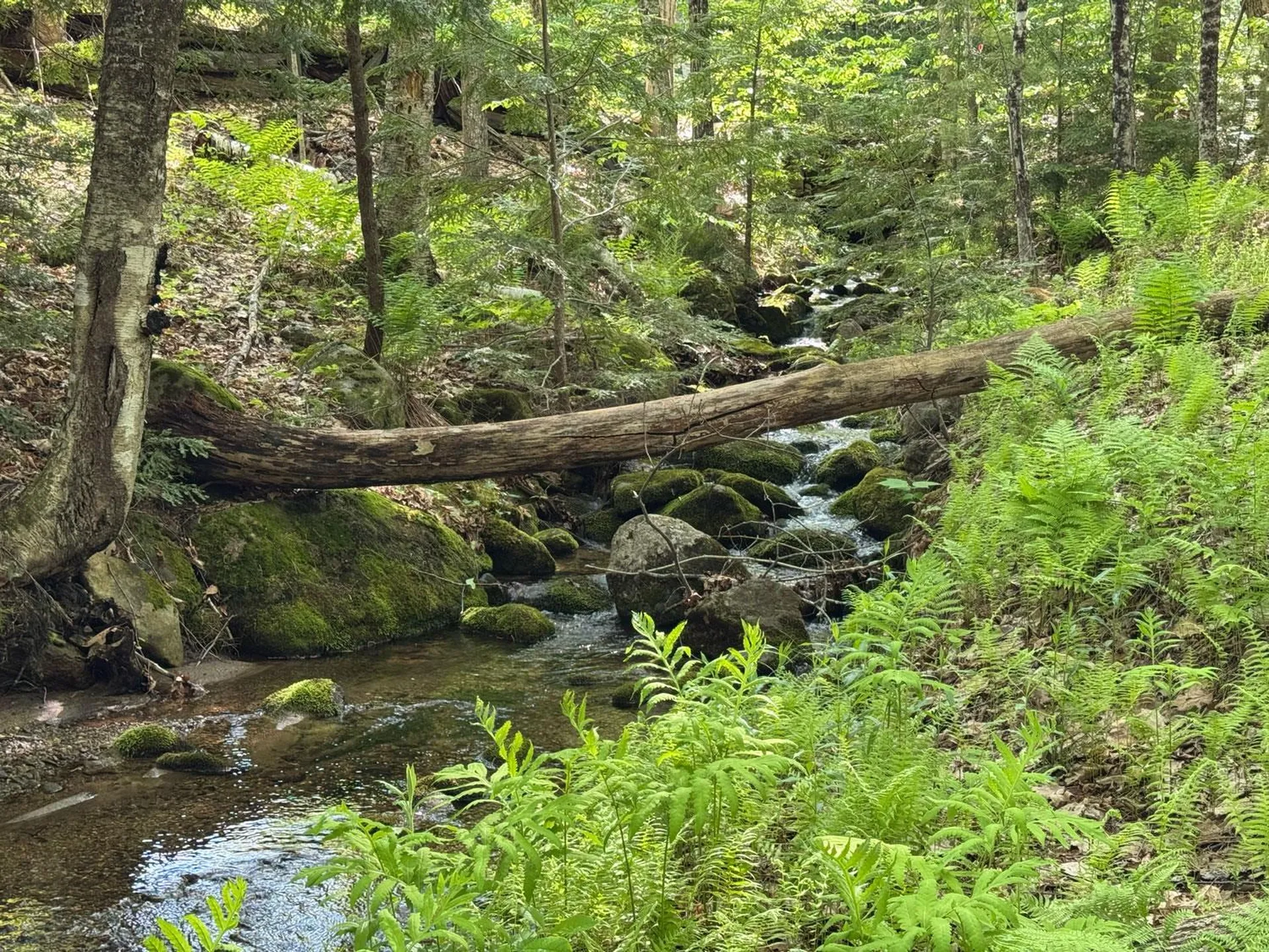 0 Peaked Hill Road Bristol NH 03222