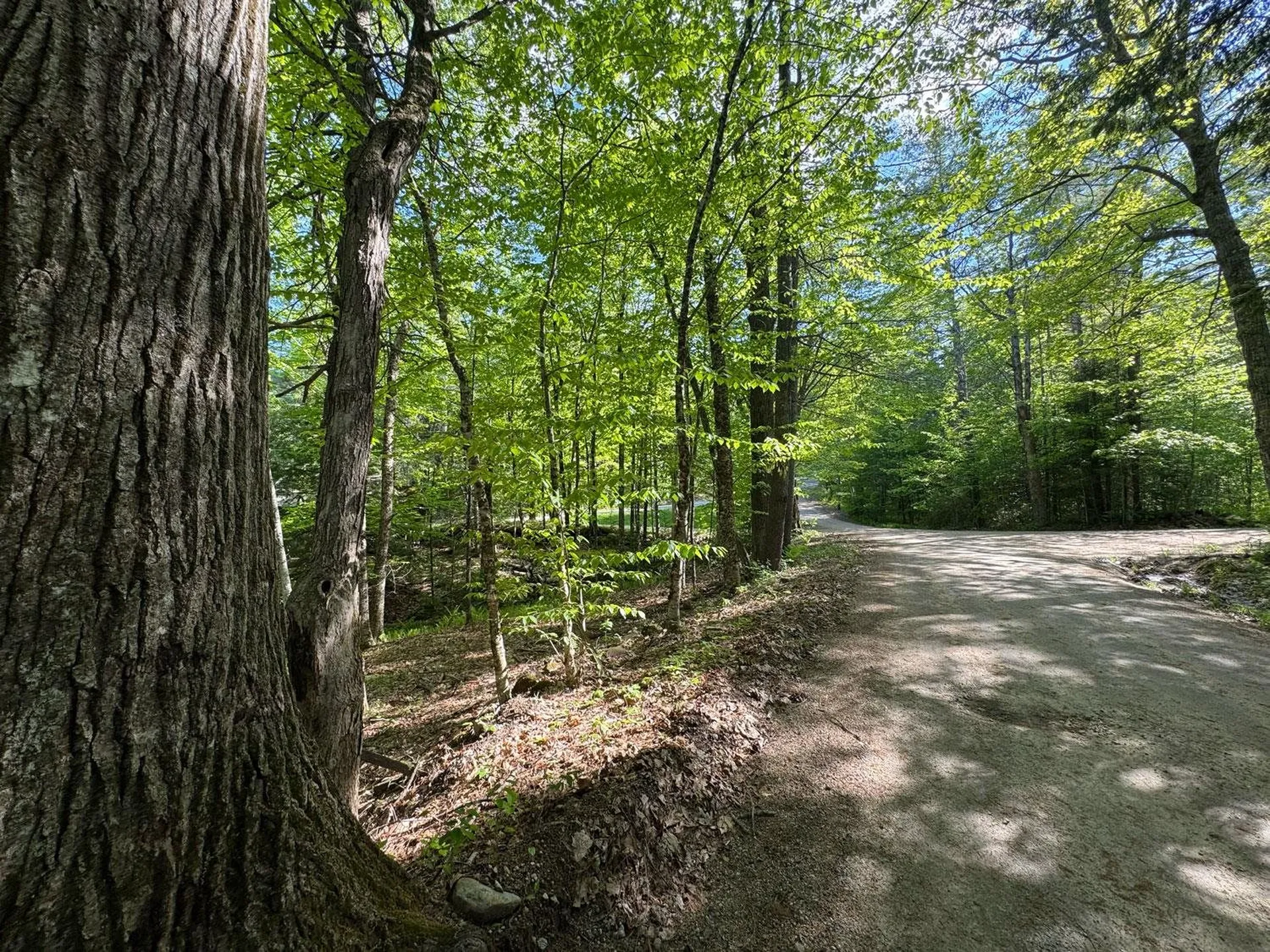 0 Peaked Hill Road Bristol NH 03222