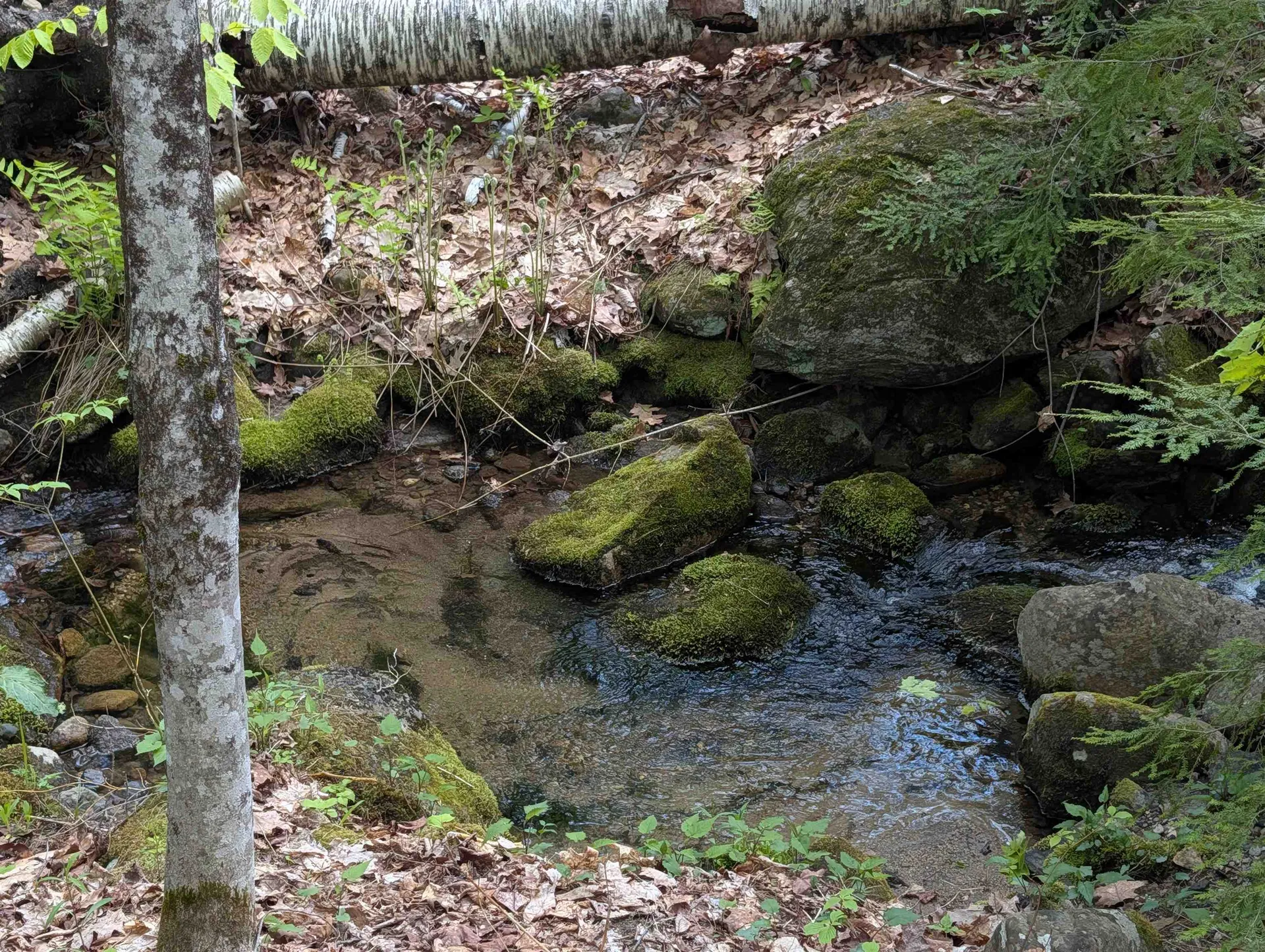0 Peaked Hill Road Bristol NH 03222
