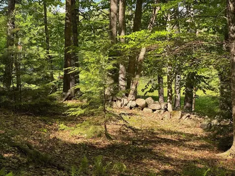 0 Peaked Hill Road Bristol NH 03222