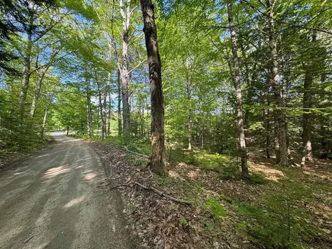 0 Peaked Hill Road Bristol NH 03222