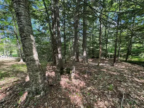 0 Peaked Hill Road Bristol NH 03222