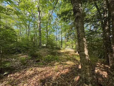 0 Peaked Hill Road Bristol NH 03222
